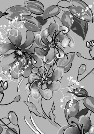 Gypsophilia And Blooms