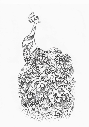 Peacock Main