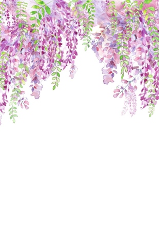 Wisteria top border