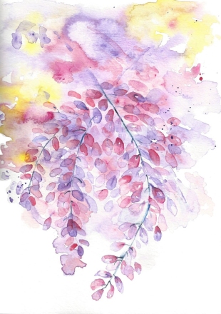 Wisteria