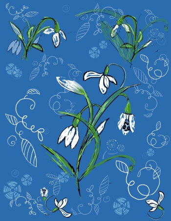 Snowdrops